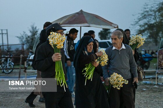 گزارش تصویری | هشتمین جشنواره گل نرگس - کازرون