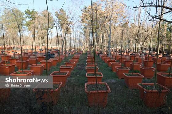 گزارش تصویری | بازدید از مرکز تولیدات سازمان پارک‌ها و فضای سبز