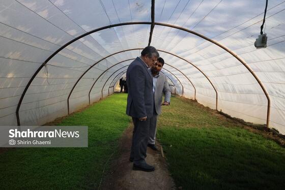 گزارش تصویری | بازدید از مرکز تولیدات سازمان پارک‌ها و فضای سبز
