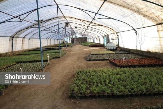 گزارش تصویری | بازدید از مرکز تولیدات سازمان پارک‌ها و فضای سبز