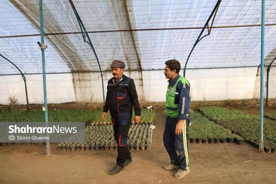 گزارش تصویری | بازدید از مرکز تولیدات سازمان پارک‌ها و فضای سبز