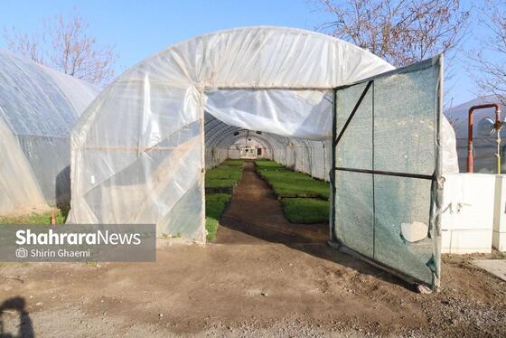 گزارش تصویری | بازدید از مرکز تولیدات سازمان پارک‌ها و فضای سبز