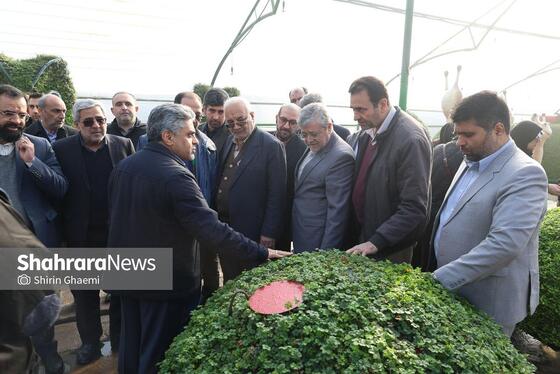 گزارش تصویری | بازدید از مرکز تولیدات سازمان پارک‌ها و فضای سبز