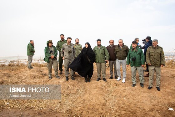 گزارش تصویری | سرشماری پرندگان مهاجر «تالاب مُرِّه» - قم