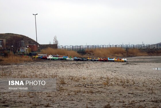 گزارش تصویری | کم آبی «سراب نیلوفر» همچنان ادامه دارد