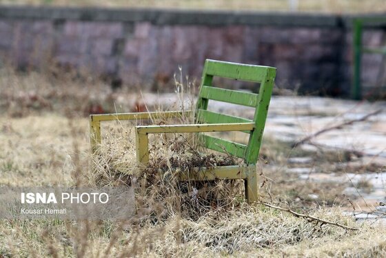 گزارش تصویری | کم آبی «سراب نیلوفر» همچنان ادامه دارد