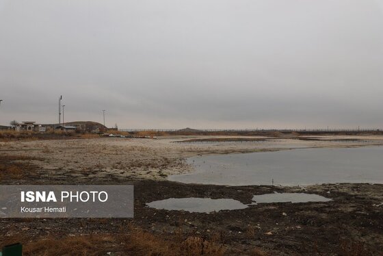گزارش تصویری | کم آبی «سراب نیلوفر» همچنان ادامه دارد