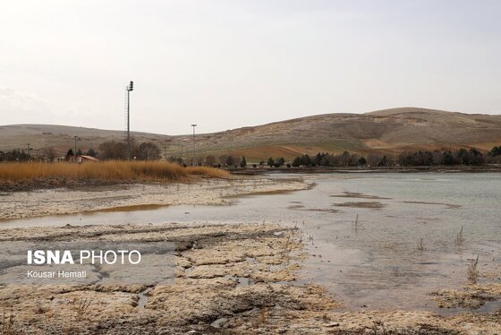 گزارش تصویری | کم آبی «سراب نیلوفر» همچنان ادامه دارد