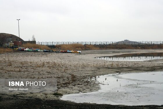 گزارش تصویری | کم آبی «سراب نیلوفر» همچنان ادامه دارد