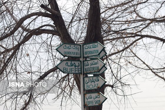 گزارش تصویری | کم آبی «سراب نیلوفر» همچنان ادامه دارد