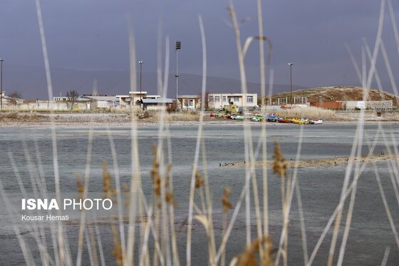 گزارش تصویری | کم آبی «سراب نیلوفر» همچنان ادامه دارد