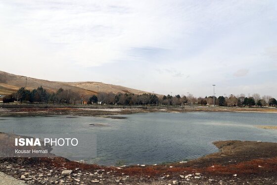 گزارش تصویری | کم آبی «سراب نیلوفر» همچنان ادامه دارد