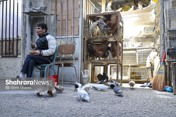 گزارش تصویری | صفای سفره‌های ساده افطار