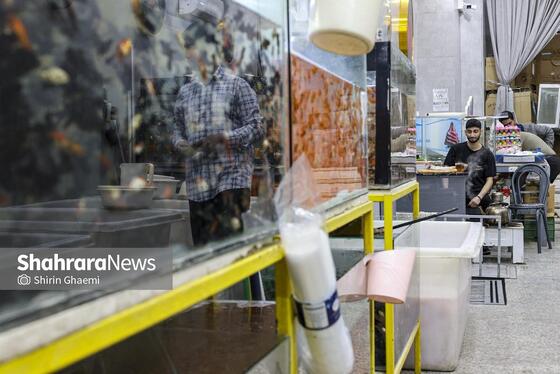 گزارش تصویری | صفای سفره‌های ساده افطار