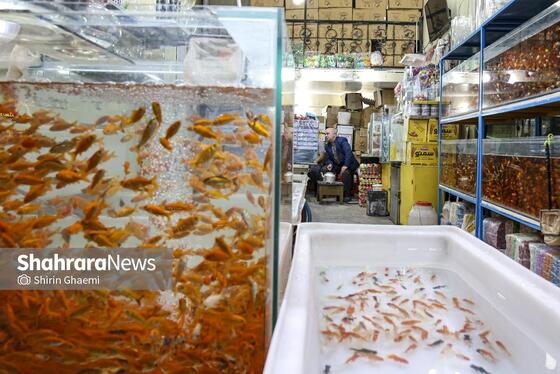 گزارش تصویری | صفای سفره‌های ساده افطار