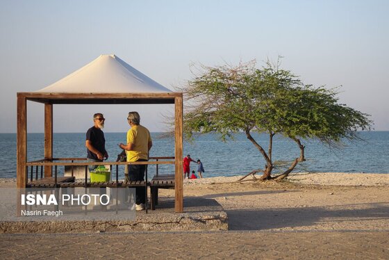 گزارش تصویری | کیش؛ جزیره‌ای که زمستان ندارد