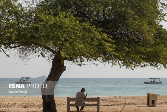 گزارش تصویری | کیش؛ جزیره‌ای که زمستان ندارد