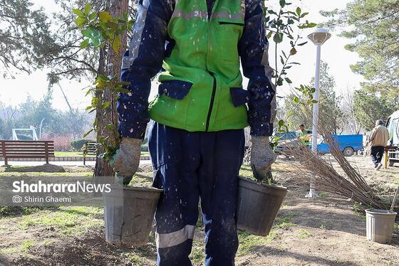 گزارش تصویری | کاشت درخت توسط دانش‌آموزان مدارس استثنایی مشهد