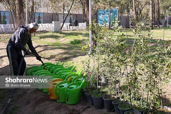 گزارش تصویری | کاشت درخت توسط دانش‌آموزان مدارس استثنایی مشهد