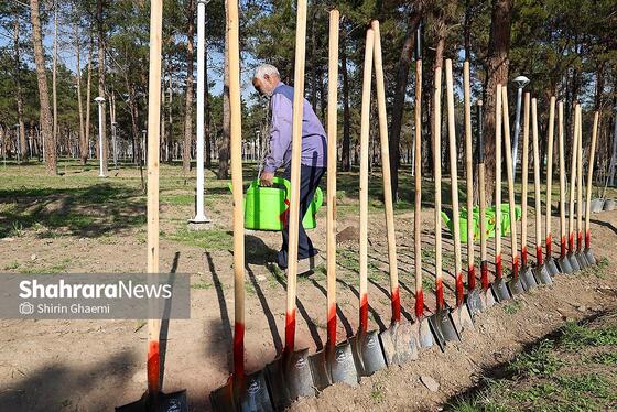 گزارش تصویری | کاشت درخت توسط دانش‌آموزان مدارس استثنایی مشهد