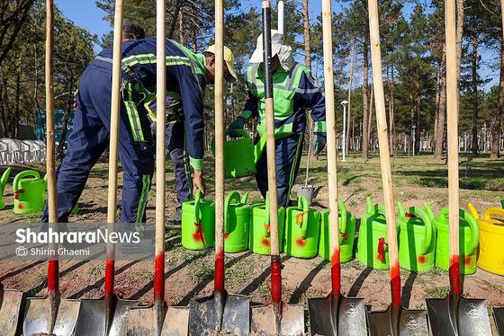 گزارش تصویری | کاشت درخت توسط دانش‌آموزان مدارس استثنایی مشهد