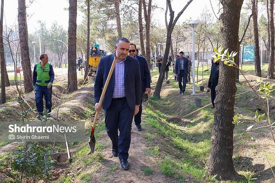 گزارش تصویری | کاشت درخت توسط دانش‌آموزان مدارس استثنایی مشهد