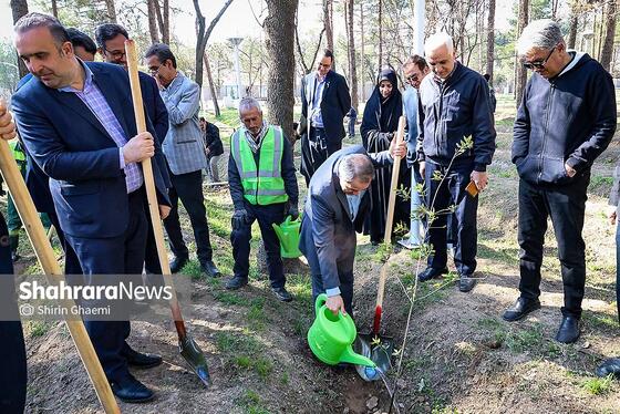 گزارش تصویری | کاشت درخت توسط دانش‌آموزان مدارس استثنایی مشهد