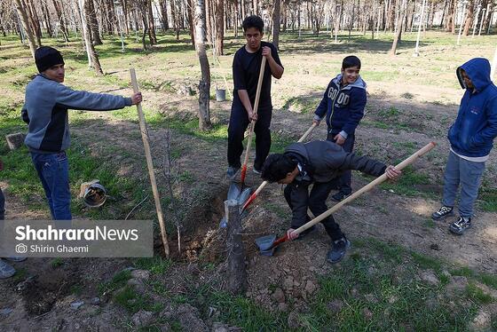 گزارش تصویری | کاشت درخت توسط دانش‌آموزان مدارس استثنایی مشهد