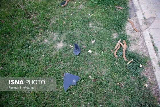 عکس| آسیب به باغ موزه چهلستون اصفهان در تجاوز آمریکا و رژیم صهیونیستی