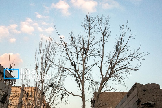 عکس‌هایی از میزان خسارت حملات آمریکا و اسرائیل به تهران (۱۸ اسفند ۱۴۰۴)