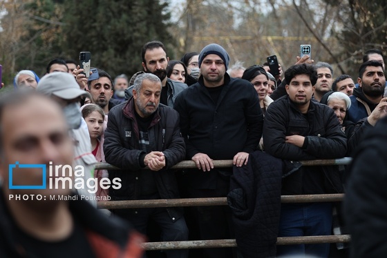 گزارش تصویری| مراسم تشییع «حمید هیراد»