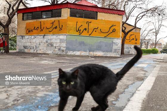 گزارش تصویری | تاریخ‌سازی با دیوارنویسی