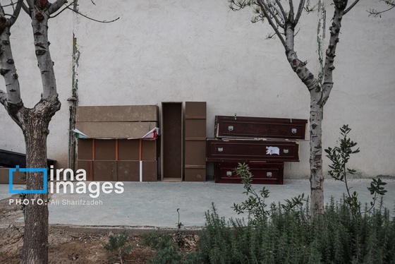 گزارش تصویری | عزیزان وطن