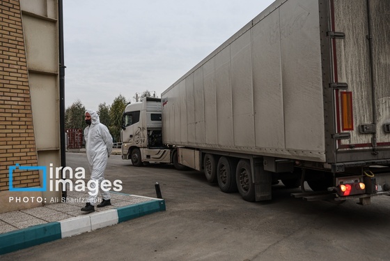 گزارش تصویری | عزیزان وطن