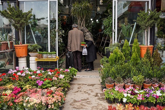 گزارش تصویری | حال‌وهوای بازار گل و گیاه مشهد در آستانه نوروز ۱۴۰۵