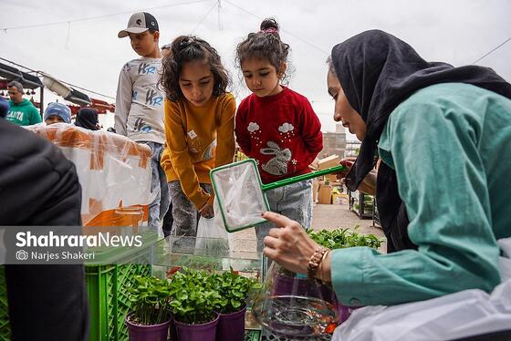 گزارش تصویری | حال‌وهوای بازار گل و گیاه مشهد در آستانه نوروز ۱۴۰۵