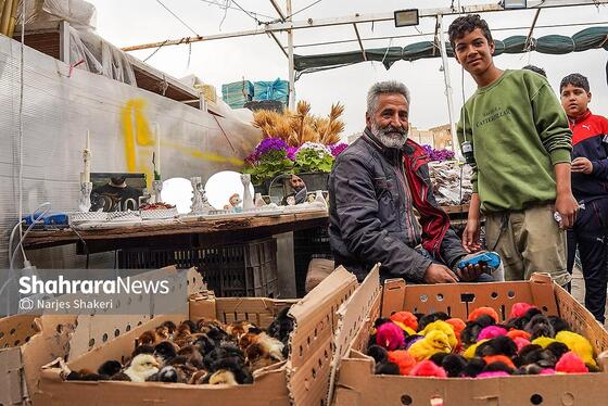 گزارش تصویری | حال‌وهوای بازار گل و گیاه مشهد در آستانه نوروز ۱۴۰۵