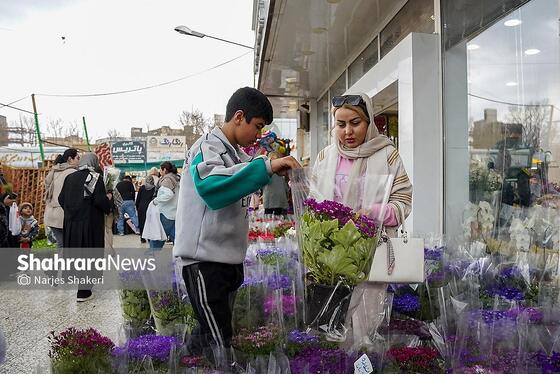 گزارش تصویری | حال‌وهوای بازار گل و گیاه مشهد در آستانه نوروز ۱۴۰۵