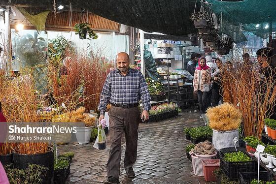 گزارش تصویری | حال‌وهوای بازار گل و گیاه مشهد در آستانه نوروز ۱۴۰۵