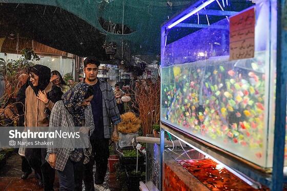 گزارش تصویری | حال‌وهوای بازار گل و گیاه مشهد در آستانه نوروز ۱۴۰۵