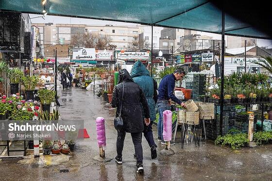 گزارش تصویری | حال‌وهوای بازار گل و گیاه مشهد در آستانه نوروز ۱۴۰۵