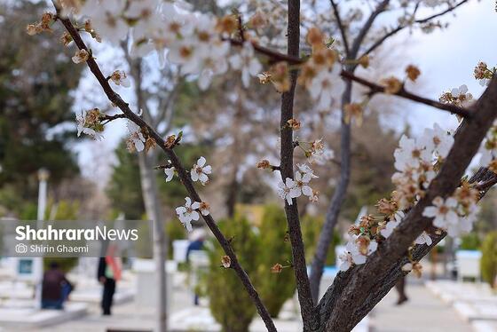گزارش تصویری | زیارت اهل قبور در آخرین پنجشنبه سال