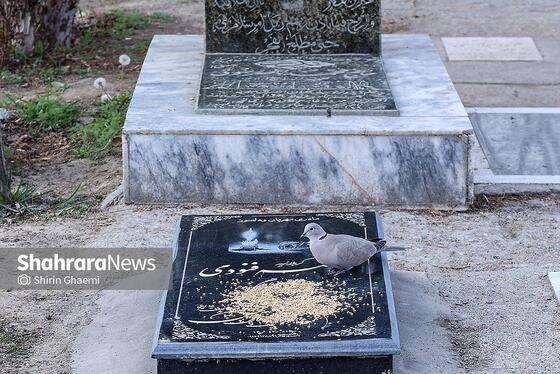 گزارش تصویری | زیارت اهل قبور در آخرین پنجشنبه سال