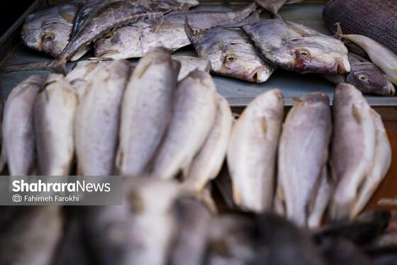 گزارش تصویری | حال‌وهوای بازار خریدهای نوروزی با حضور مردم مشهد