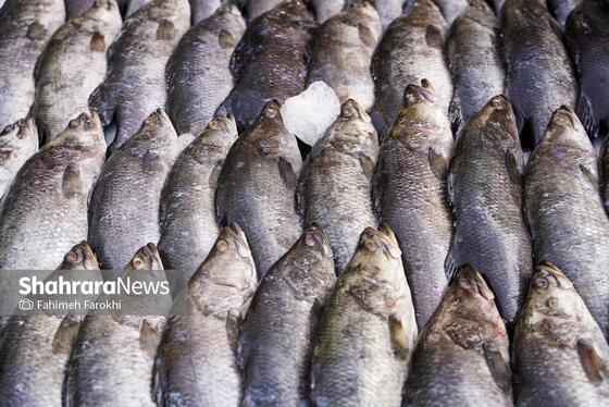 گزارش تصویری | حال‌وهوای بازار خریدهای نوروزی با حضور مردم مشهد