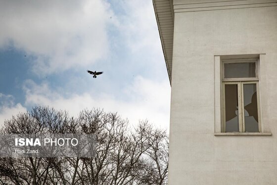 گزارش تصویری | خسارات ناشی از تجاوز آمریکایی - صهیونی به کاخ سعدآباد