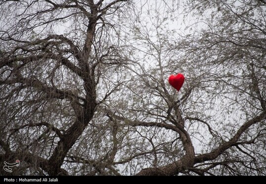 گزارش تصویری | لحظه تحویل سال در کنار قبور شهدای مدرسه شجره طیبه میناب