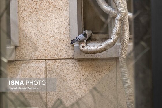 گزارش تصویری | خسارات ناشی از تجاوز هوایی آمریکا و رژیم صهیونیستی به ایران - اندیمشک / ۱ فروردین ۱۴۰۵