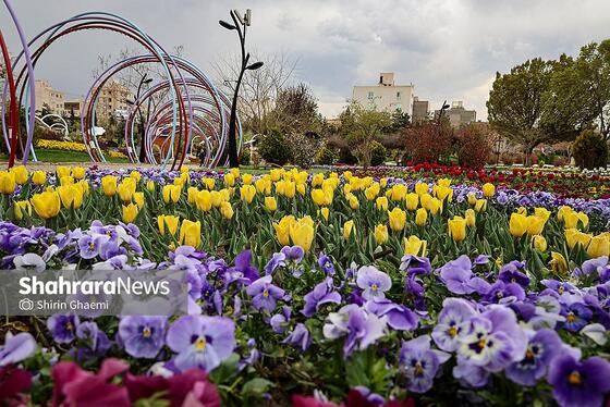 گزارش تصویری | باغ گلهای مشهد میزبان بازدید کننده گان نوروزی