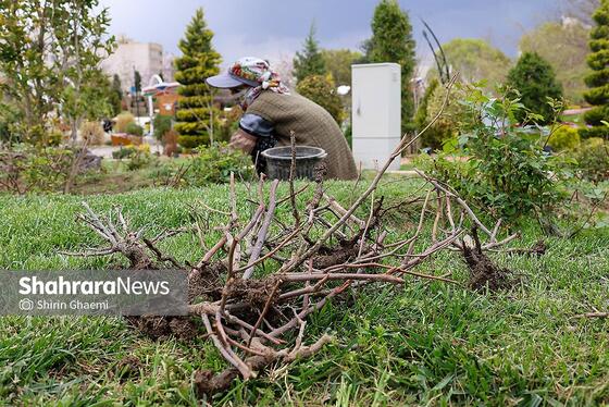 گزارش تصویری | باغ گلهای مشهد میزبان بازدید کننده گان نوروزی